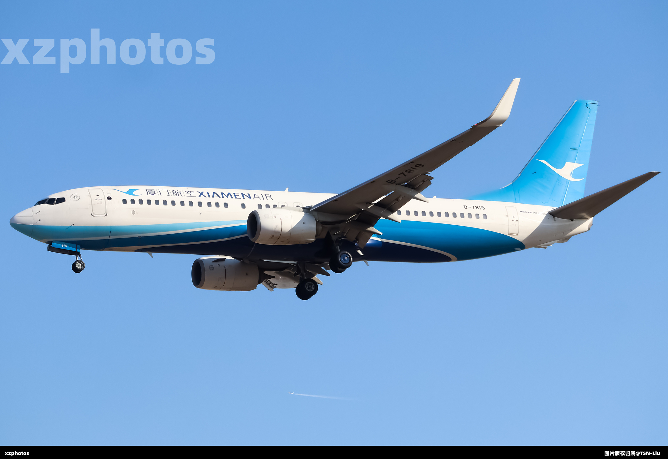 B-7819