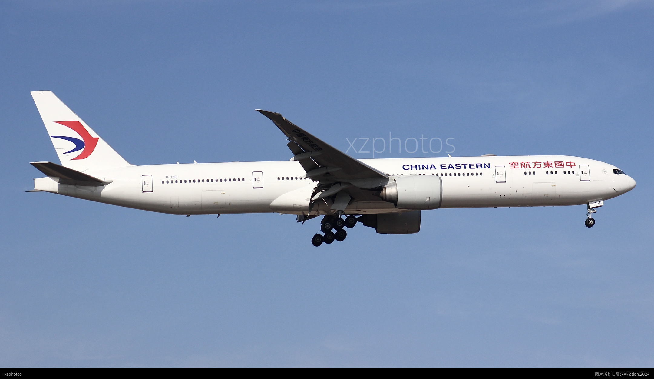 B-7881