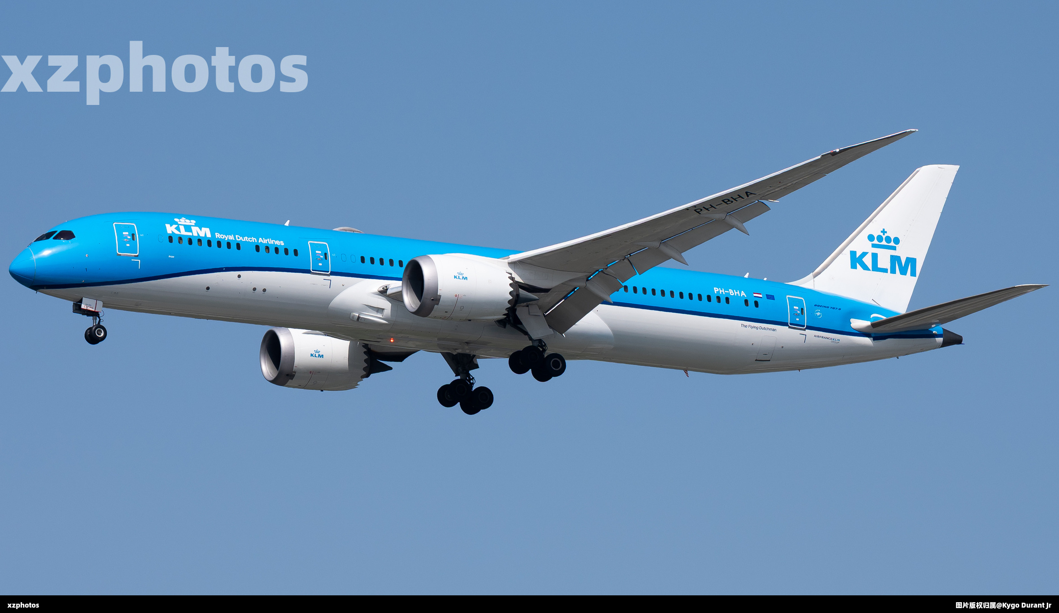 PH-BHA