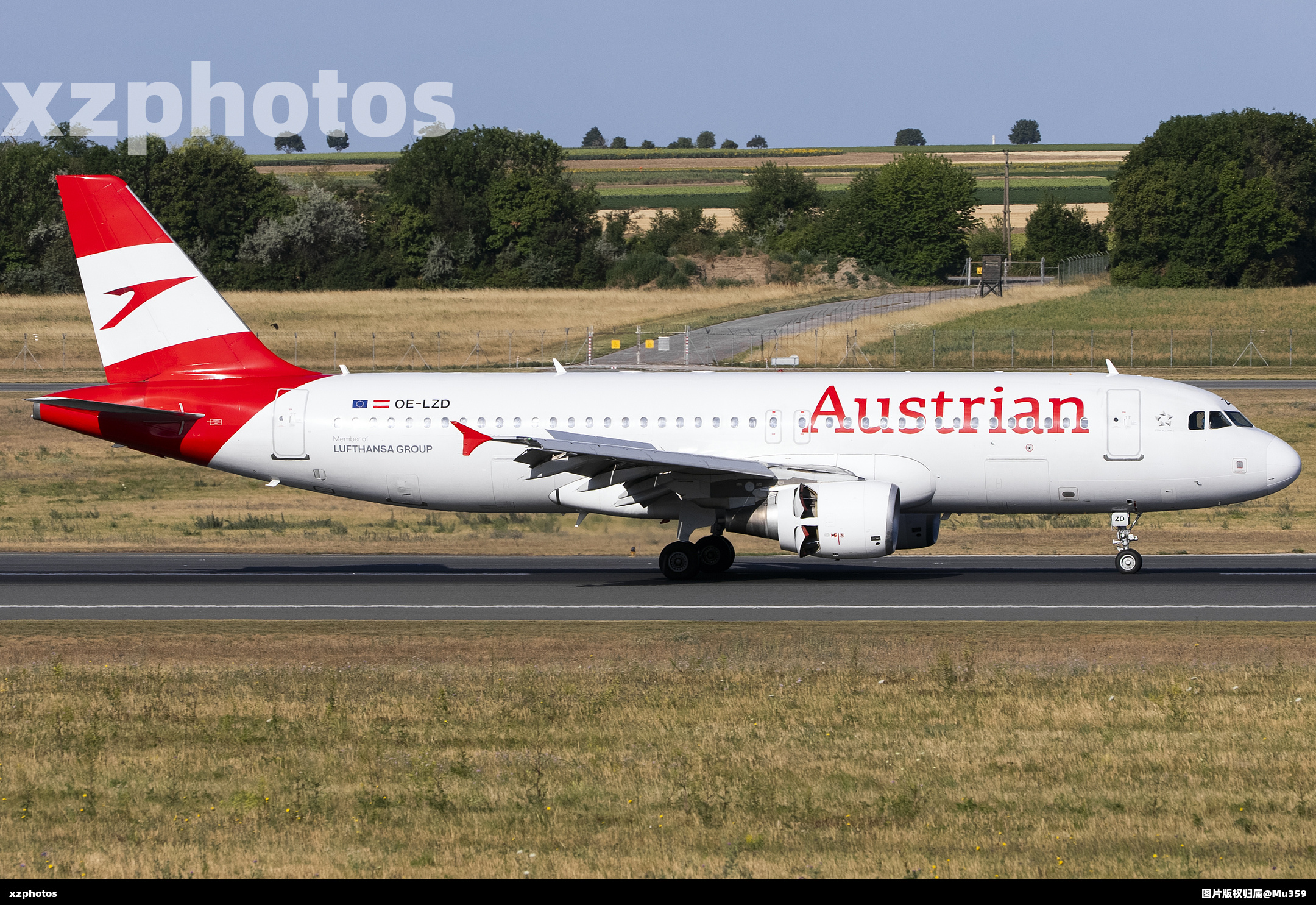 OE-LZD