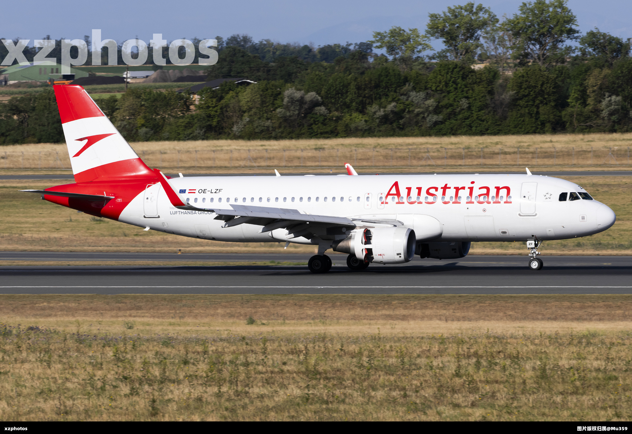 OE-LZF